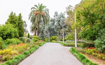 Одно из самых уникальных мест Аджарии — Ботанический сад
