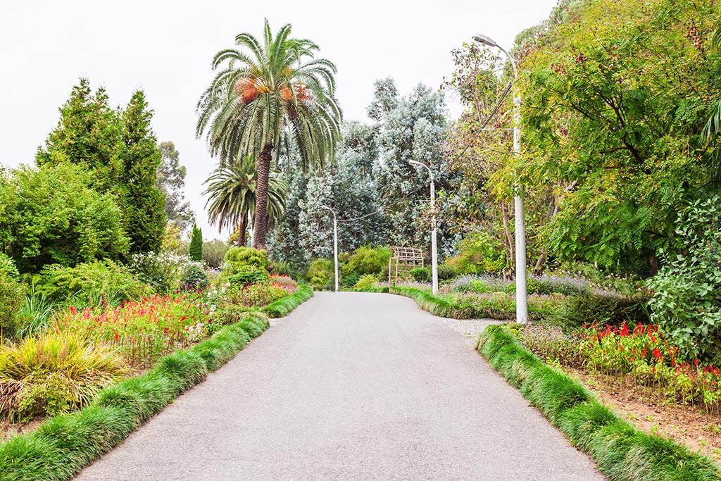 Одно из самых уникальных мест Аджарии — Ботанический сад