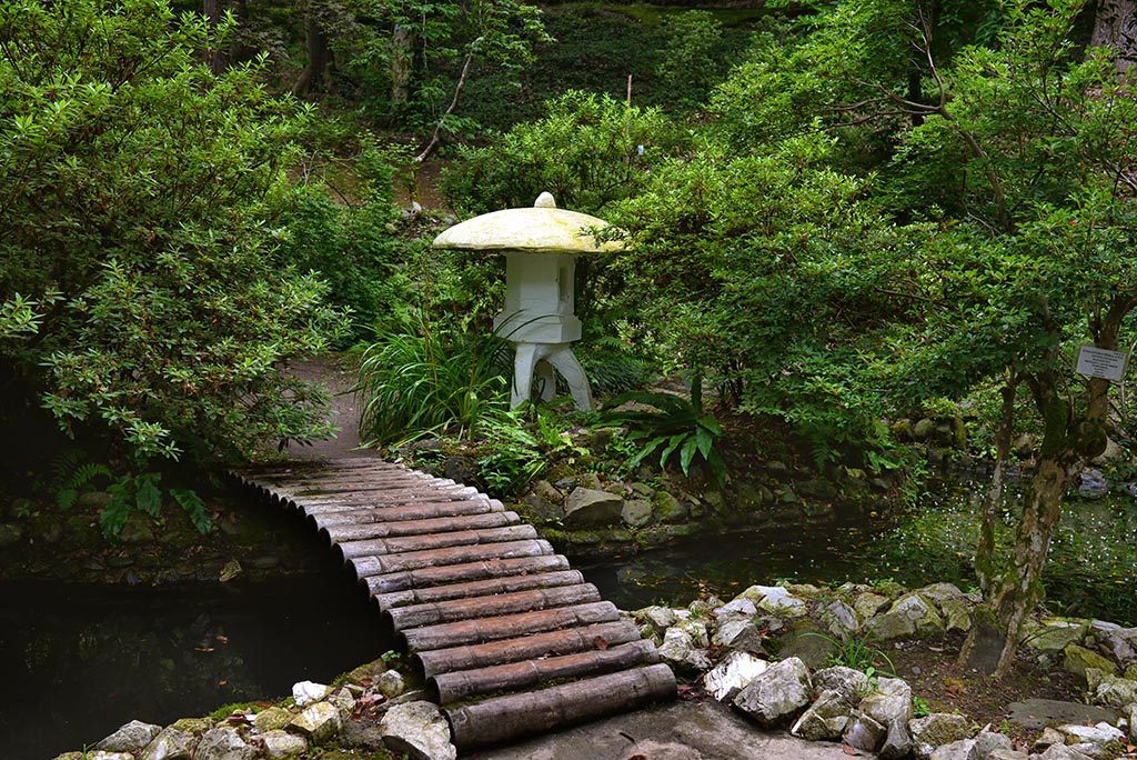 Японский сад. Одно из самых популярных мест в Ботаническом саду