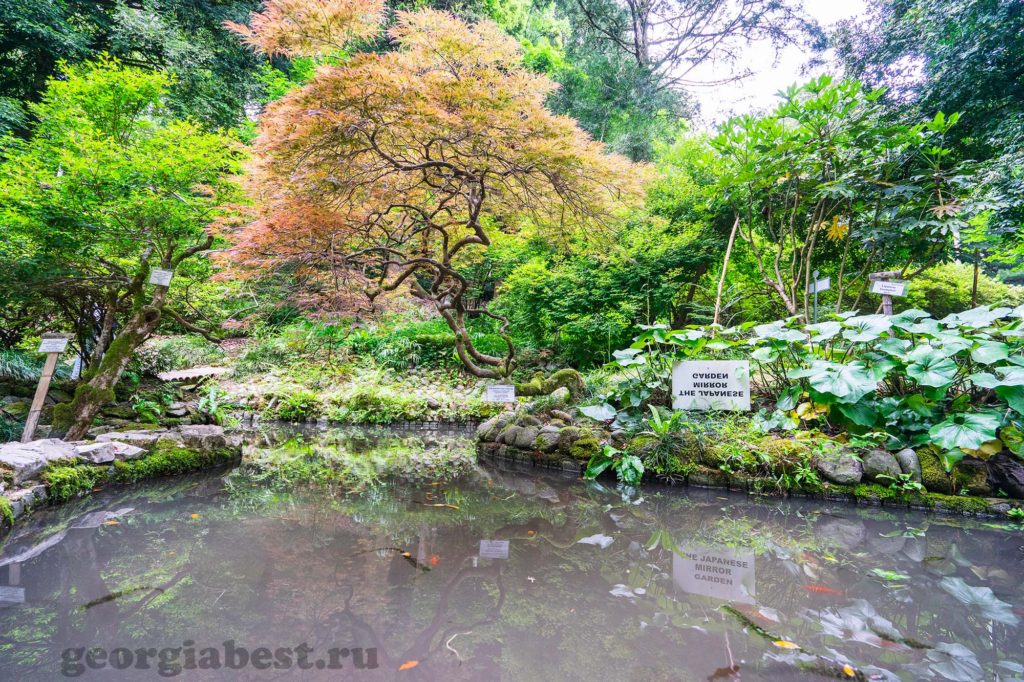 Зеркальный пруд в японском саду
